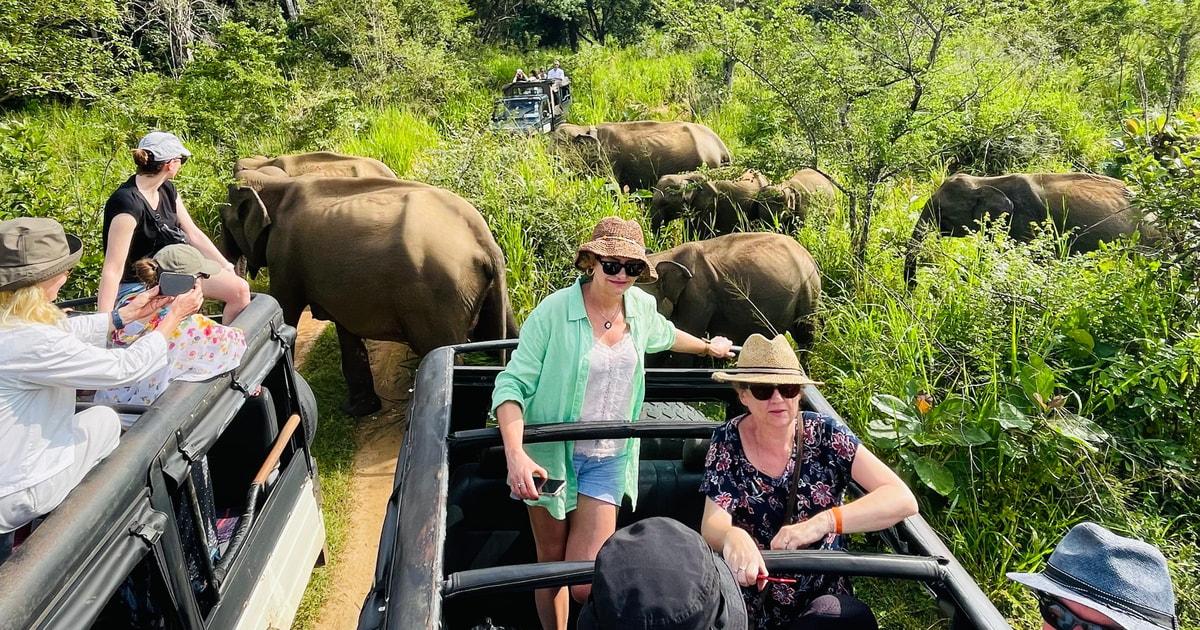 Yala National Park